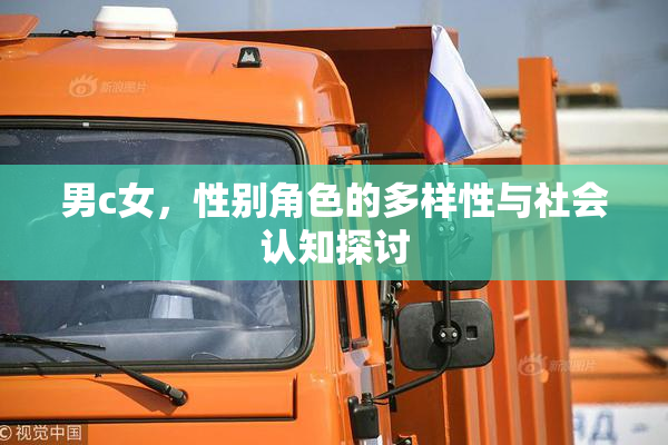 男c女，性别角色的多样性与社会认知探讨