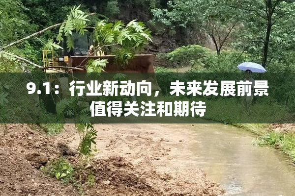 9.1：行业新动向，未来发展前景值得关注和期待