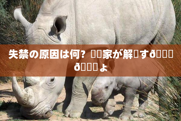 失禁の原因は何？専門家が解説す🌃🎆ょ