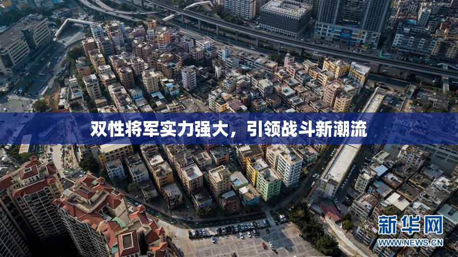 双性将军实力强大，引领战斗新潮流