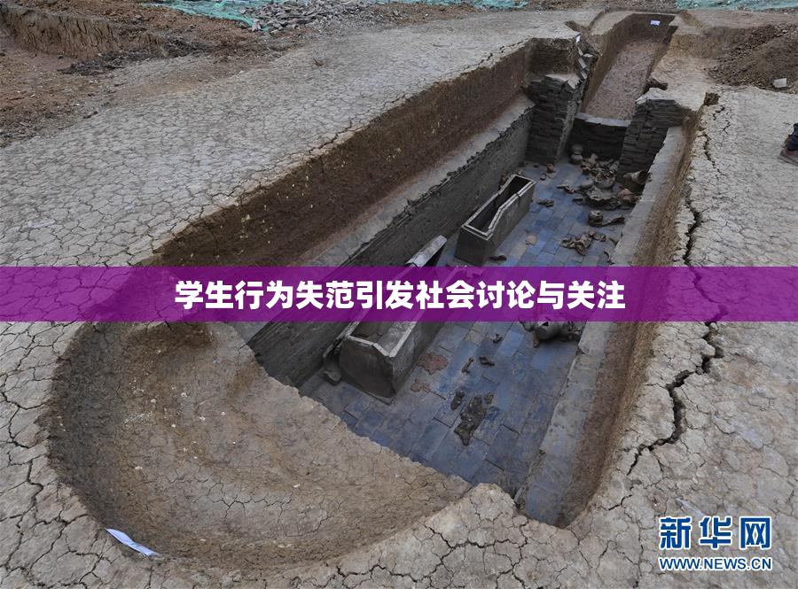 学生行为失范引发社会讨论与关注