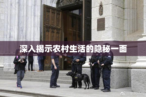 深入揭示农村生活的隐秘一面