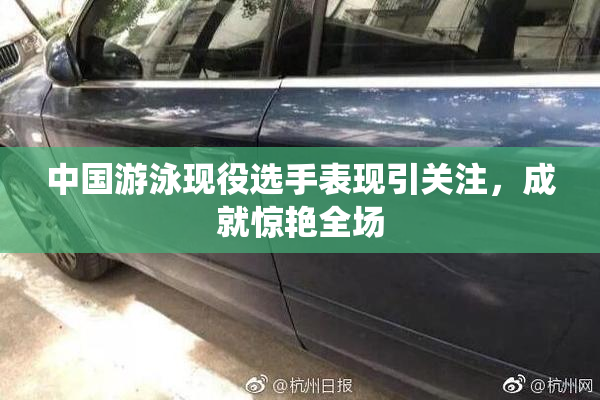 中国游泳现役选手表现引关注，成就惊艳全场