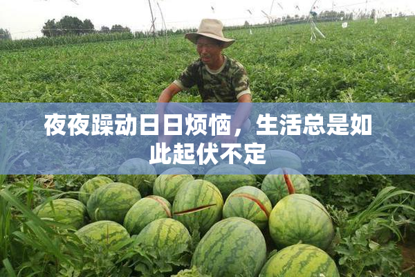 夜夜躁动日日烦恼，生活总是如此起伏不定