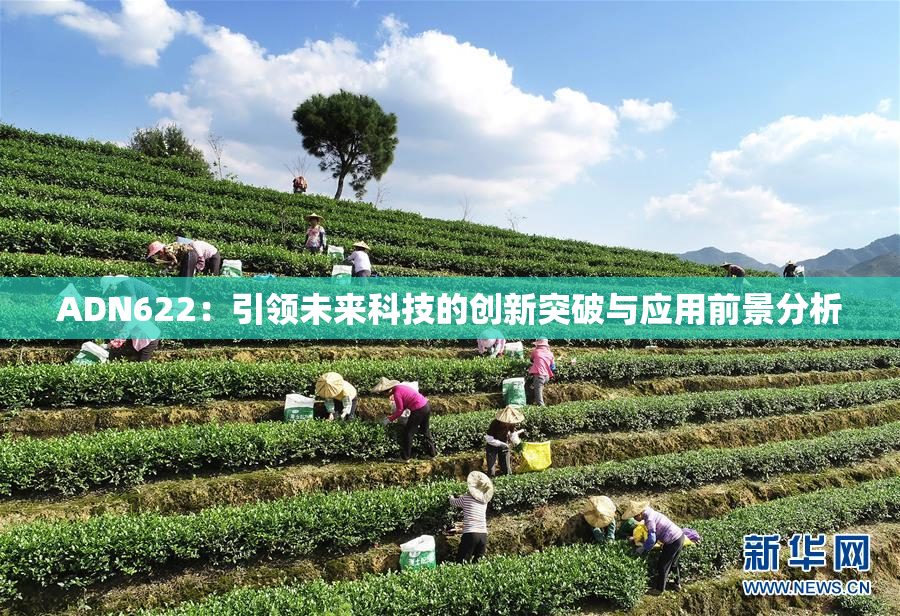 ADN622：引领未来科技的创新突破与应用前景分析