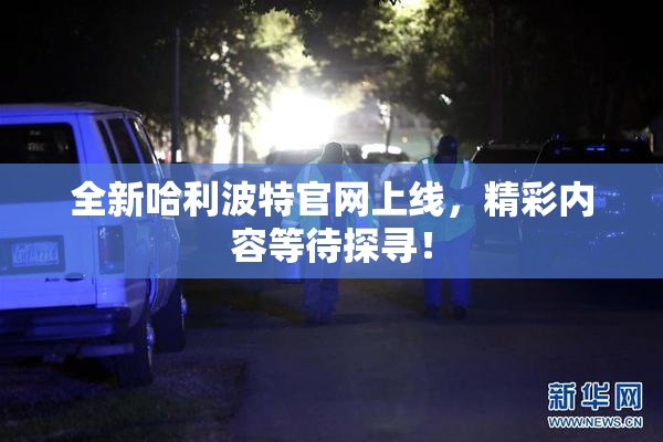 全新哈利波特官网上线，精彩内容等待探寻！