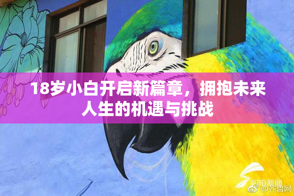 18岁小白开启新篇章，拥抱未来人生的机遇与挑战