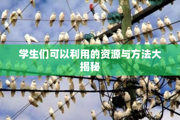 学生们可以利用的资源与方法大揭秘