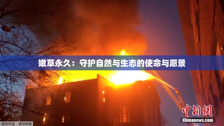 嫩草永久：守护自然与生态的使命与愿景