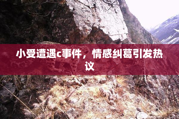 小受遭遇c事件，情感纠葛引发热议