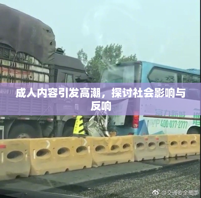 成人内容引发高潮，探讨社会影响与反响