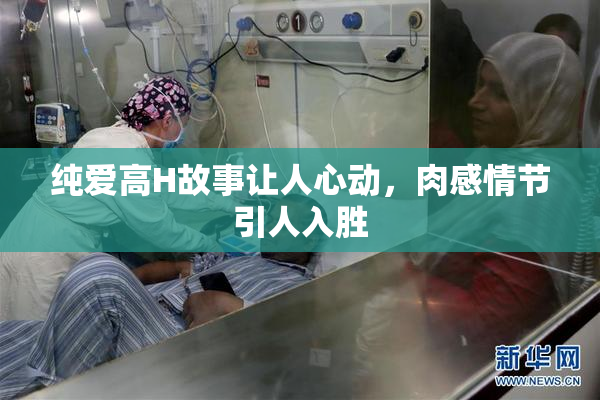 纯爱高H故事让人心动，肉感情节引人入胜