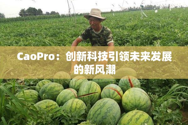 CaoPro：创新科技引领未来发展的新风潮