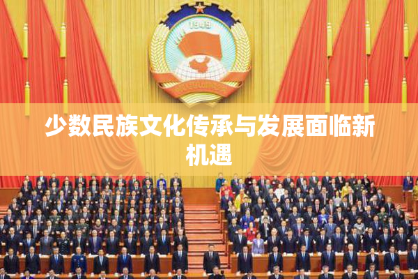 少数民族文化传承与发展面临新机遇