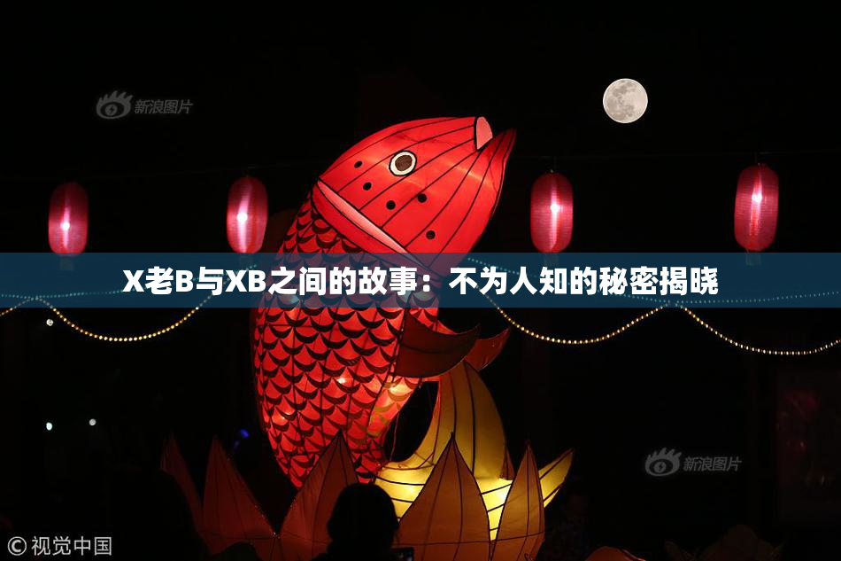 X老B与XB之间的故事：不为人知的秘密揭晓