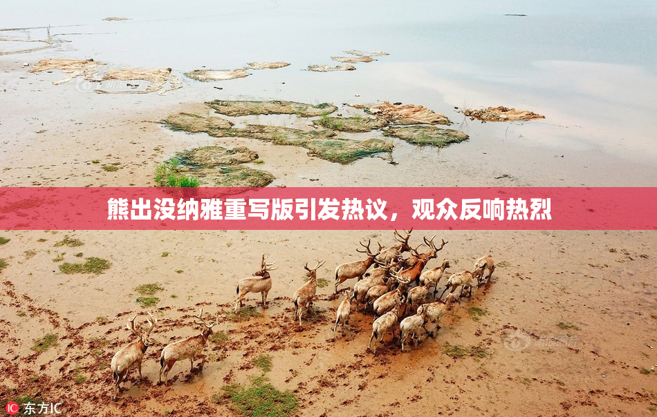 熊出没纳雅重写版引发热议，观众反响热烈