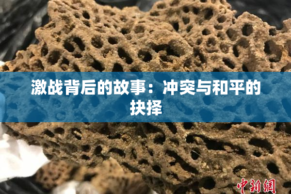 激战背后的故事：冲突与和平的抉择