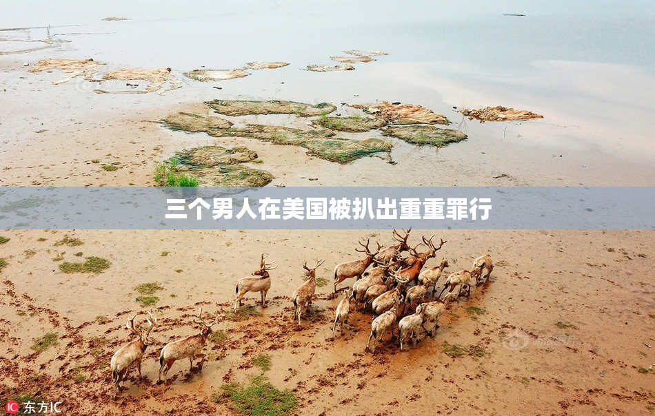 三个男人在美国被扒出重重罪行