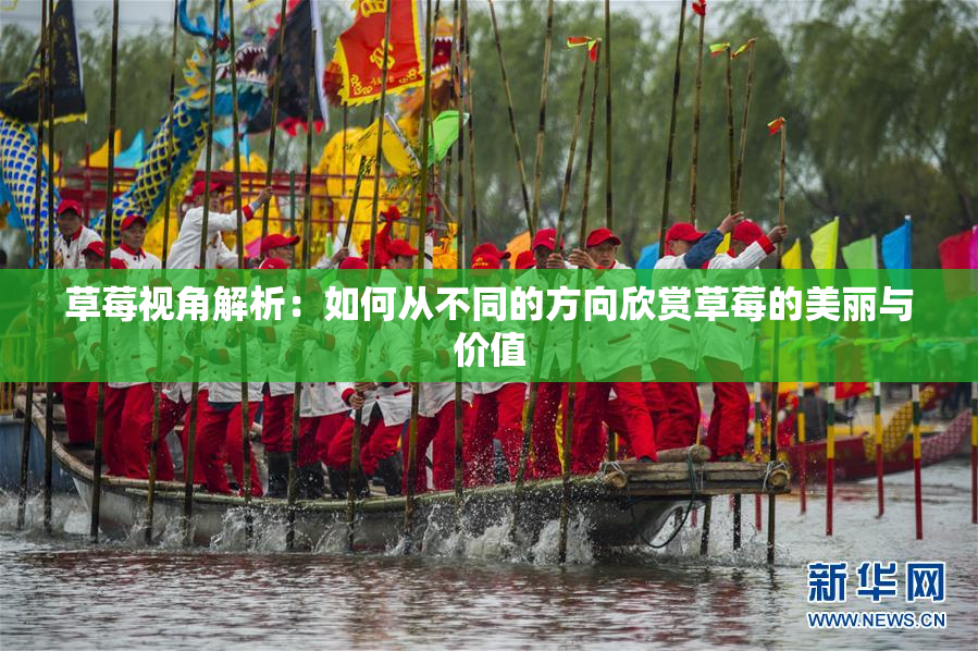 草莓视角解析：如何从不同的方向欣赏草莓的美丽与价值