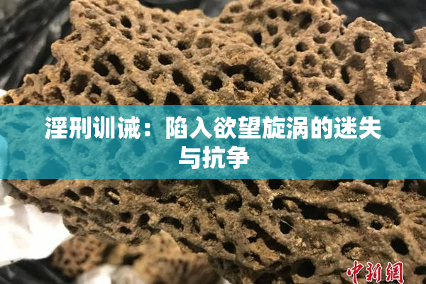 淫刑训诫：陷入欲望旋涡的迷失与抗争
