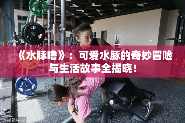 《水豚噜》：可爱水豚的奇妙冒险与生活故事全揭晓！