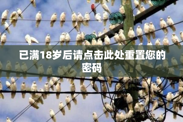 已满18岁后请点击此处重置您的密码