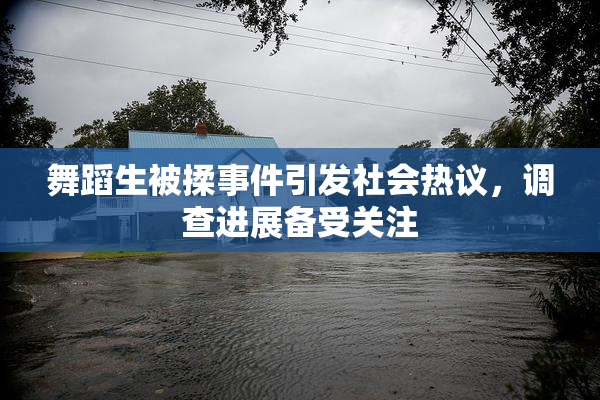 舞蹈生被揉事件引发社会热议，调查进展备受关注