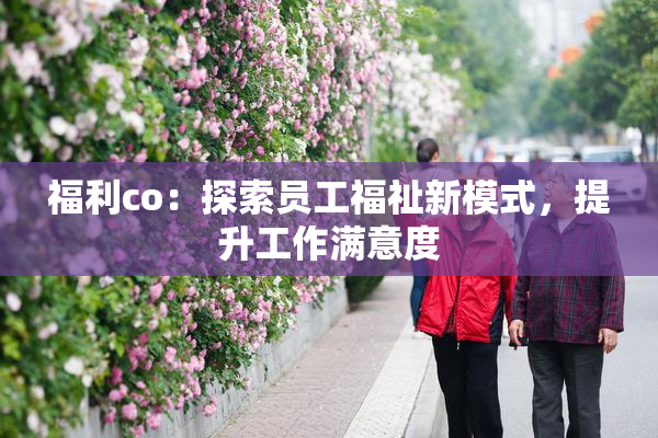 福利co：探索员工福祉新模式，提升工作满意度