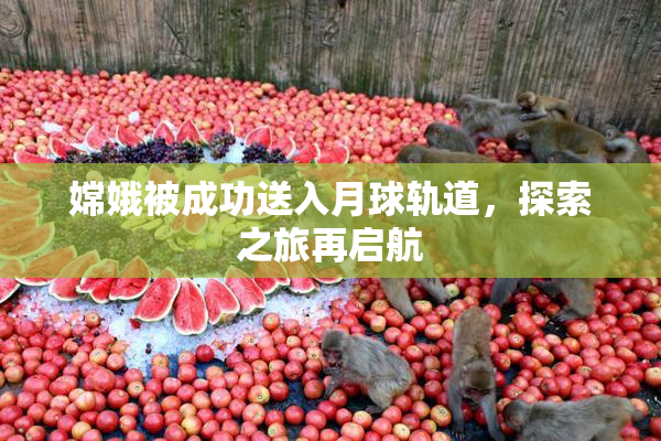 嫦娥被成功送入月球轨道，探索之旅再启航