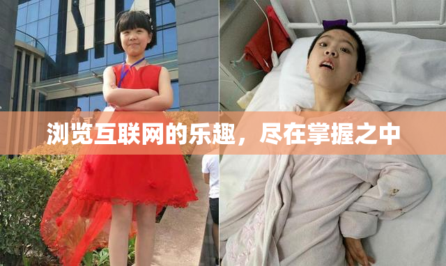 浏览互联网的乐趣，尽在掌握之中