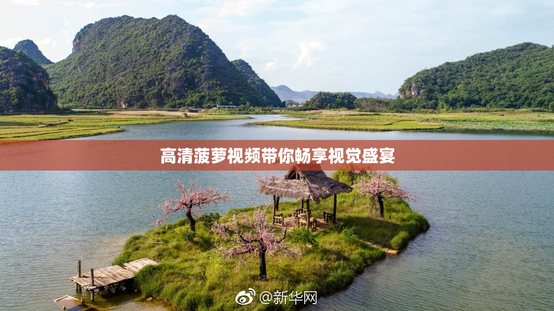 高清菠萝视频带你畅享视觉盛宴