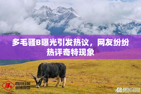 多毛骚B曝光引发热议，网友纷纷热评奇特现象