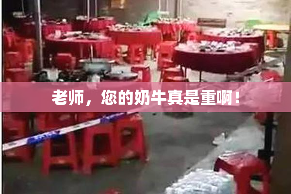 老师，您的奶牛真是重啊！
