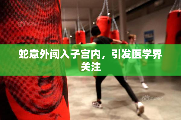 蛇意外闯入子宫内，引发医学界关注