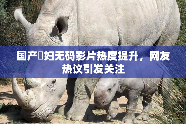 国产婬妇无码影片热度提升，网友热议引发关注