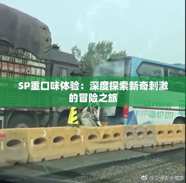 SP重口味体验：深度探索新奇刺激的冒险之旅