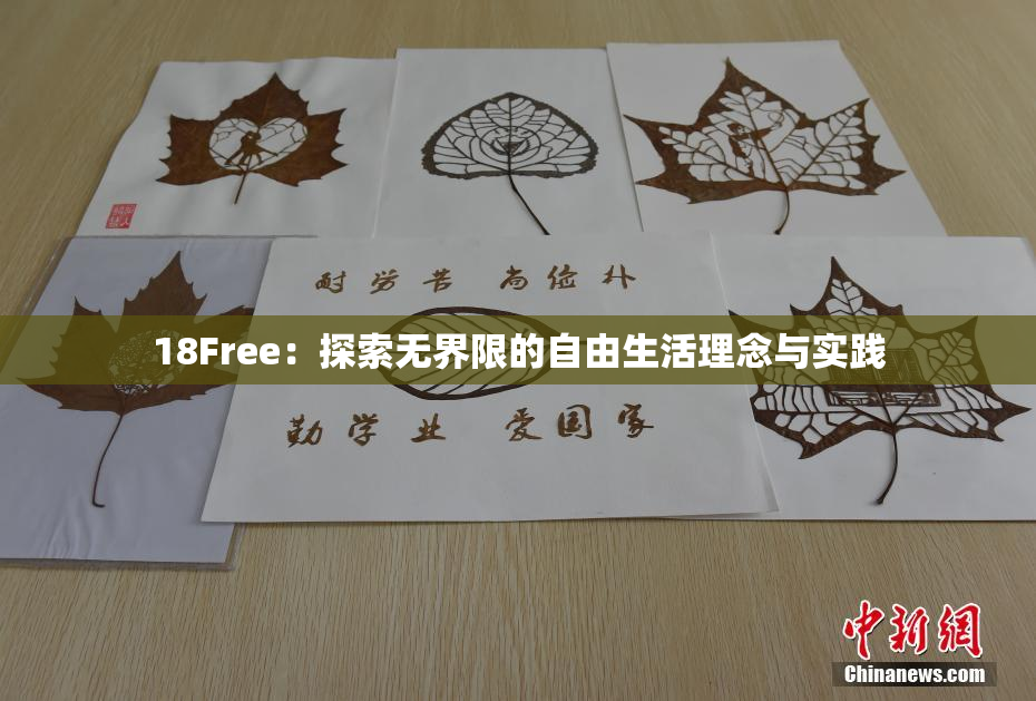 18Free：探索无界限的自由生活理念与实践