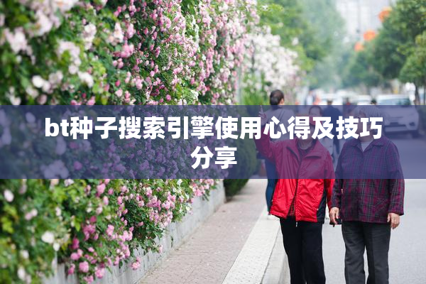 bt种子搜索引擎使用心得及技巧分享