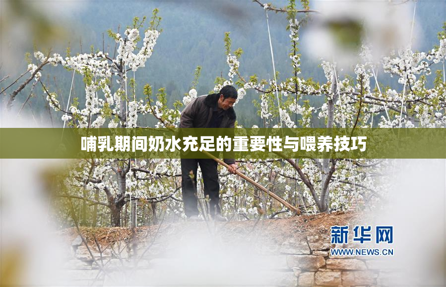 哺乳期间奶水充足的重要性与喂养技巧