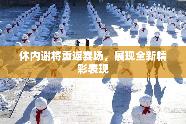 休内谢将重返赛场，展现全新精彩表现