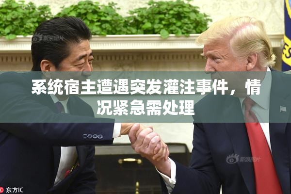 系统宿主遭遇突发灌注事件，情况紧急需处理