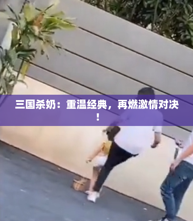 三国杀奶：重温经典，再燃激情对决！