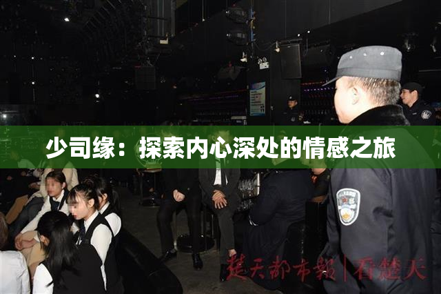 少司缘：探索内心深处的情感之旅
