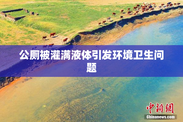 公厕被灌满液体引发环境卫生问题