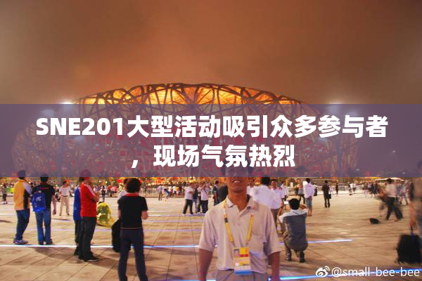 SNE201大型活动吸引众多参与者，现场气氛热烈
