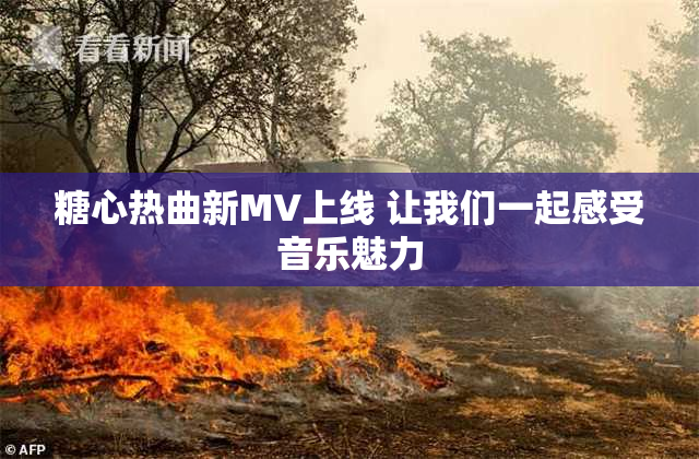 糖心热曲新MV上线 让我们一起感受音乐魅力