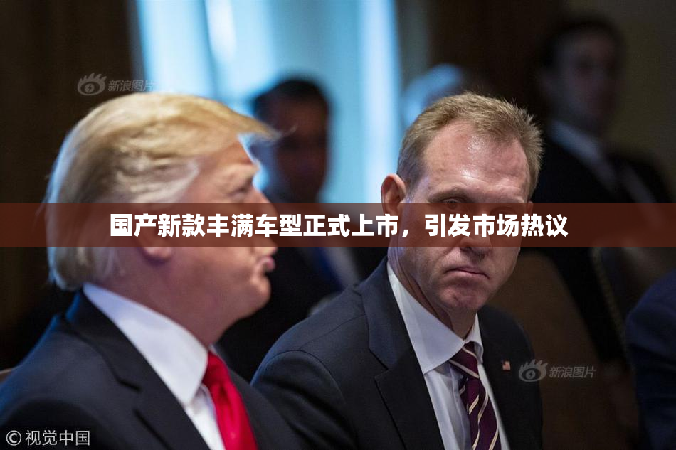 国产新款丰满车型正式上市，引发市场热议