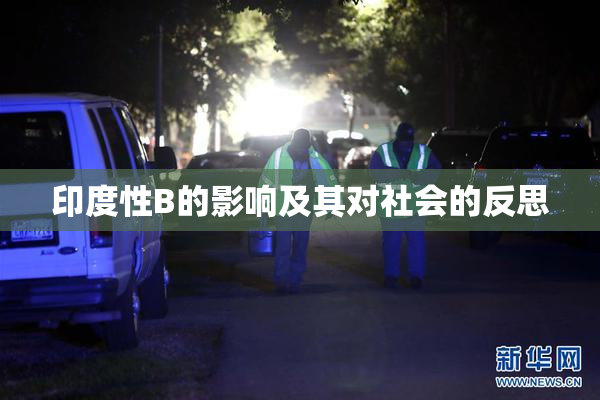 印度性B的影响及其对社会的反思