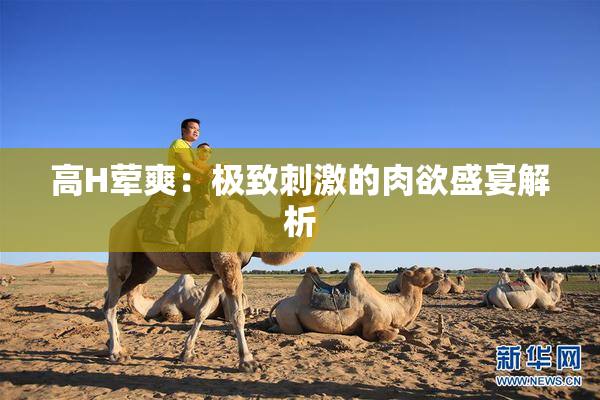 高H荤爽：极致刺激的肉欲盛宴解析