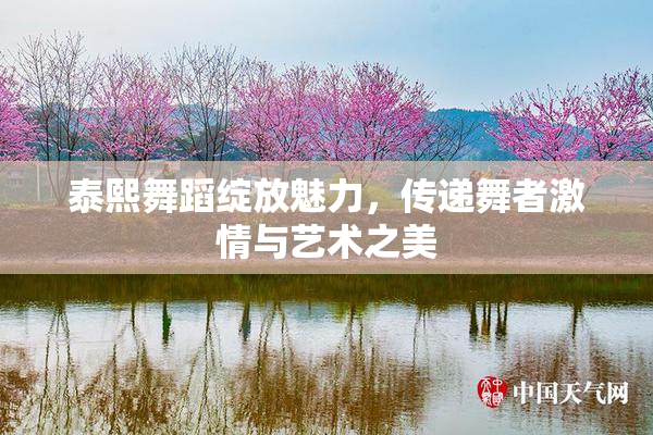 泰熙舞蹈绽放魅力，传递舞者激情与艺术之美